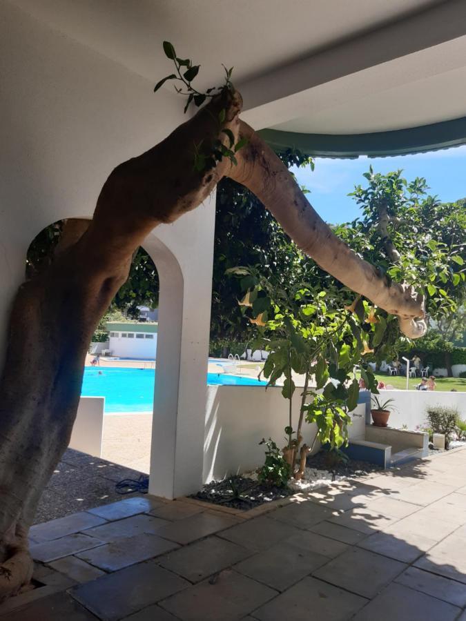 Apartamento Da Avo Te - Em Frente A Praia C Piscina Portimão Dış mekan fotoğraf