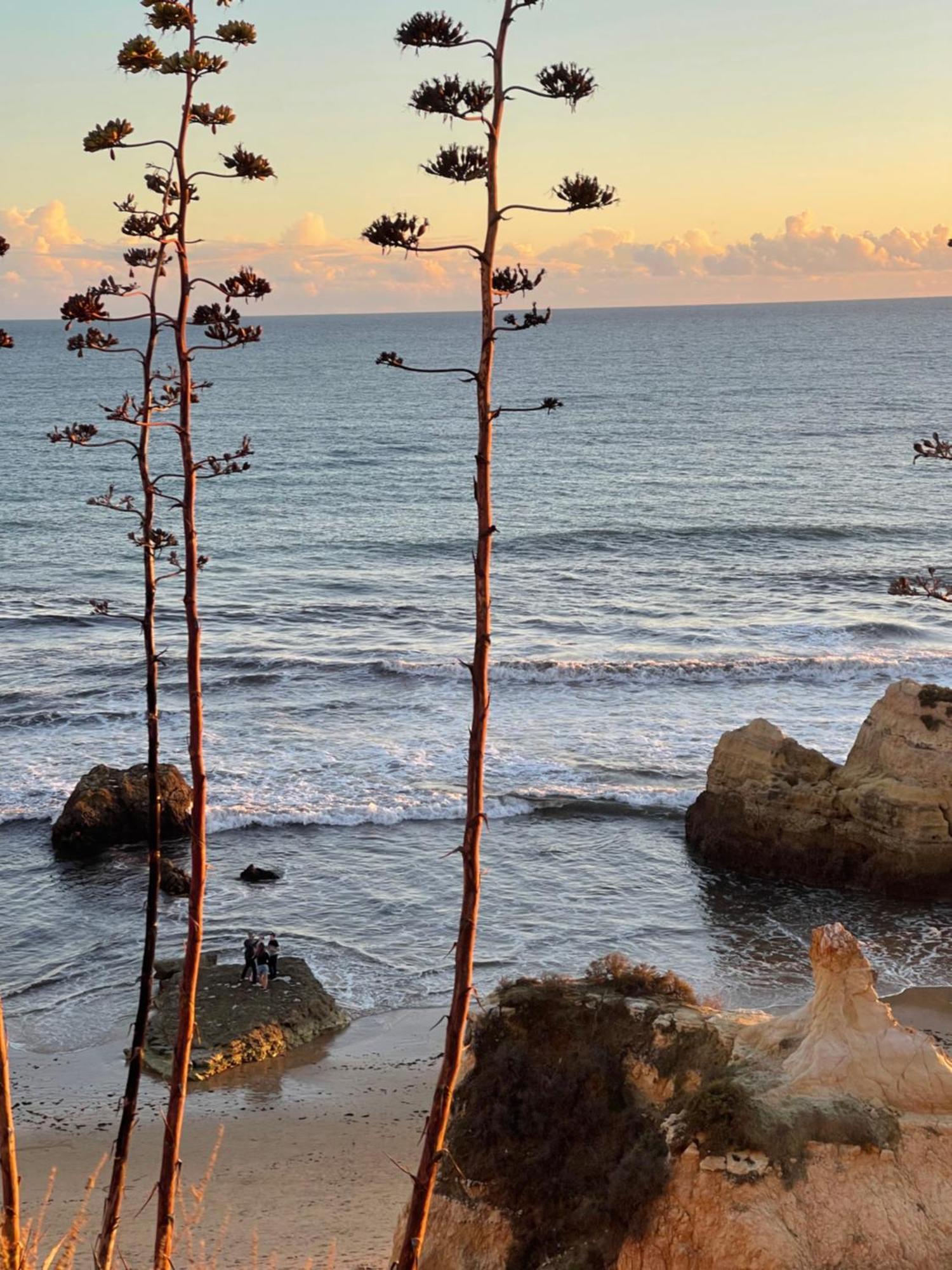 Apartamento Da Avo Te - Em Frente A Praia C Piscina Portimão Dış mekan fotoğraf